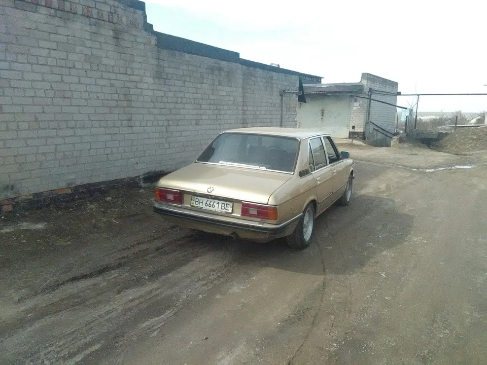 Заїхав провідати акулу