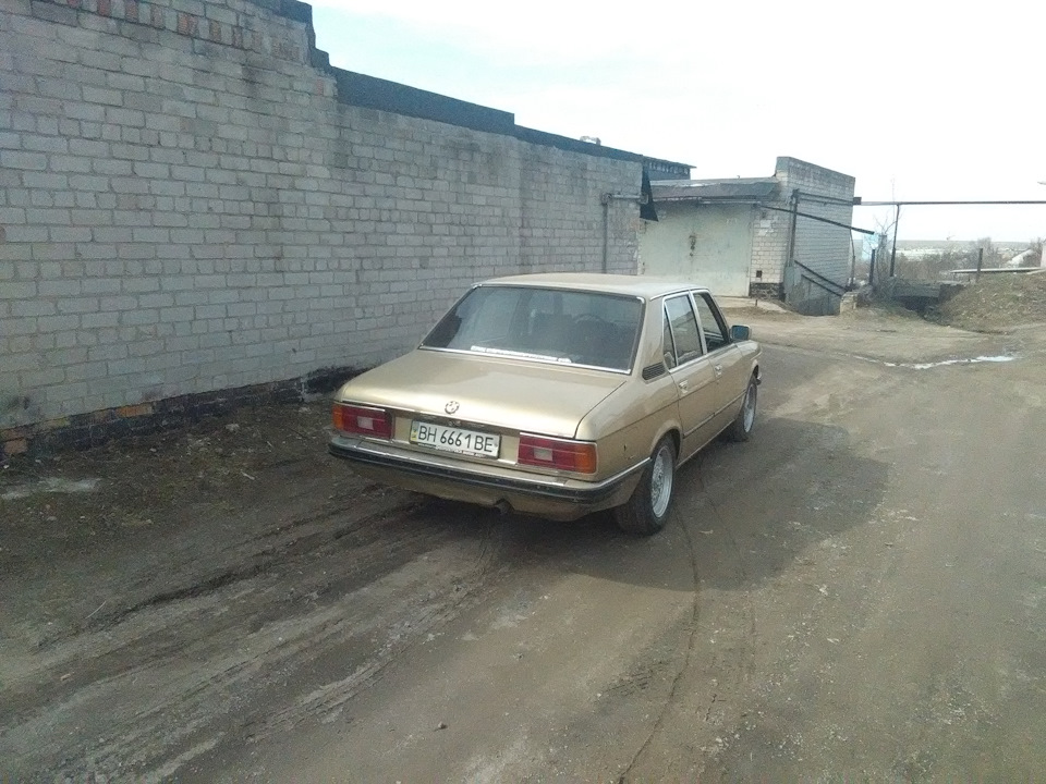 Заїхав провідати акулу 1