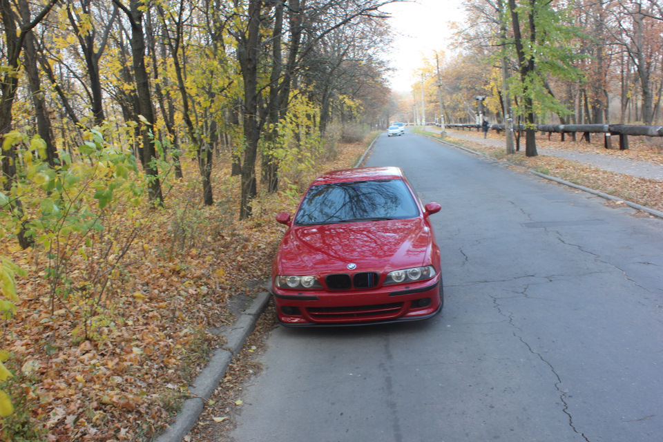 Трохи Осінніх фото 🍁🍀🍂 5