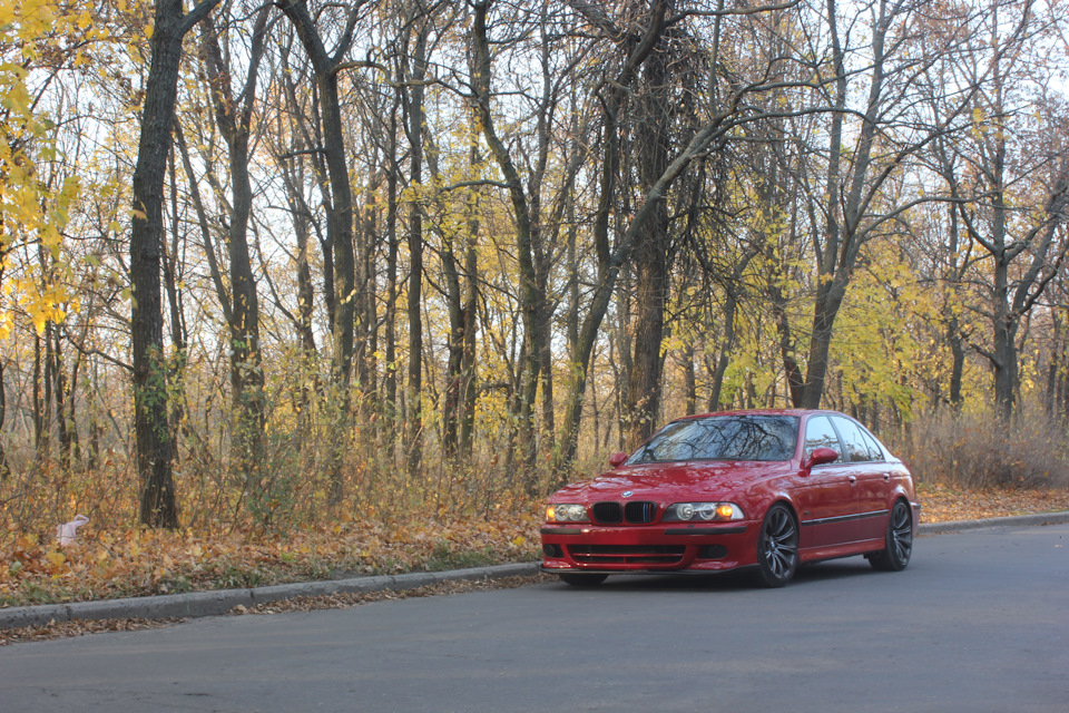 Трохи Осінніх фото 🍁🍀🍂 1