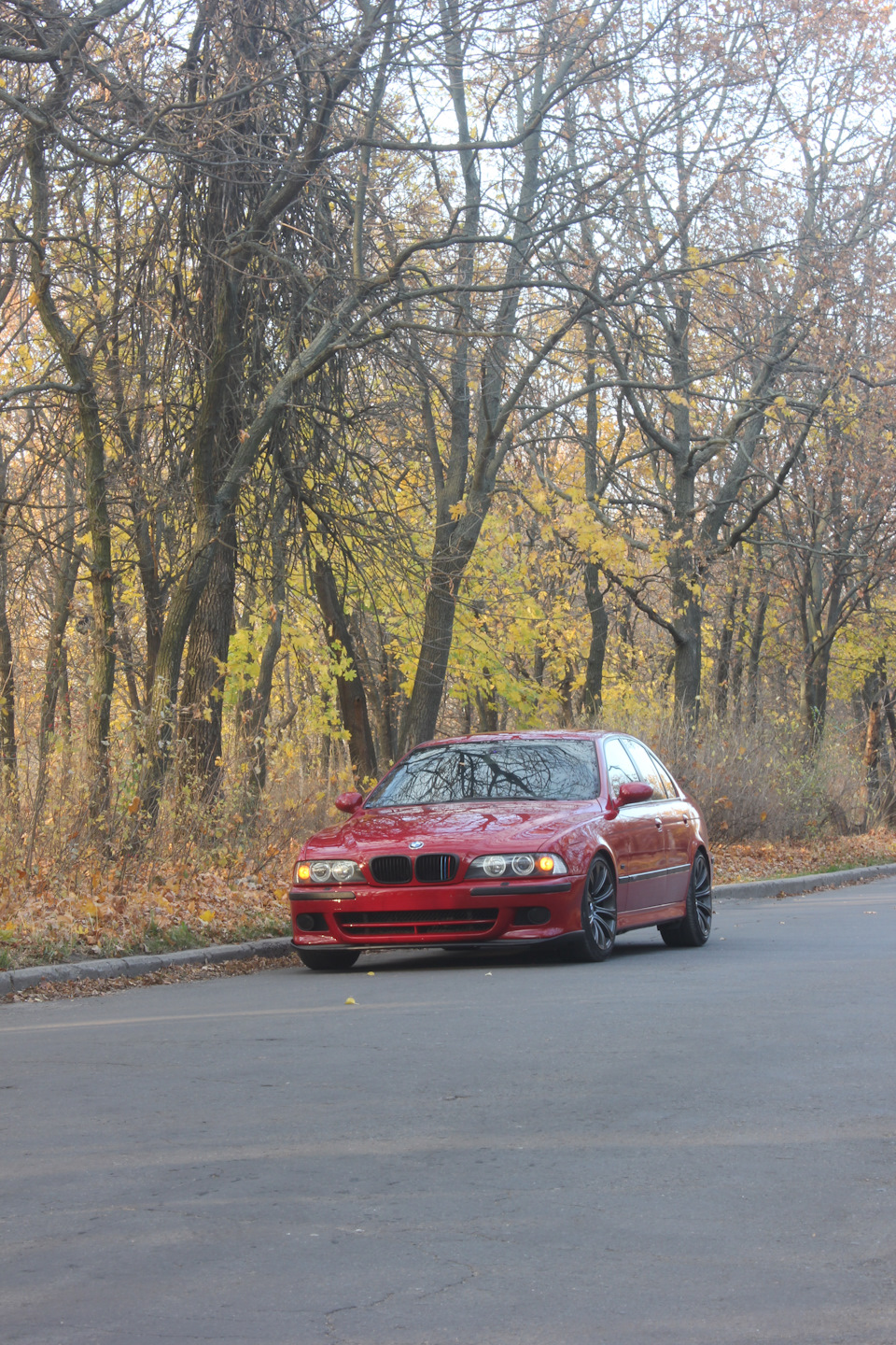 Трохи Осінніх фото 🍁🍀🍂 4