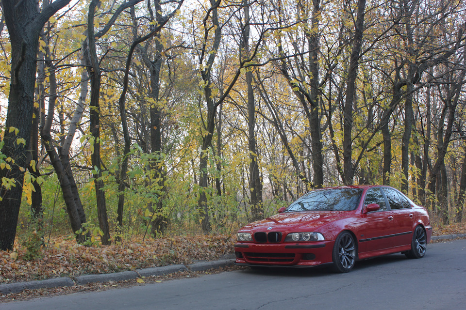 Трохи Осінніх фото 🍁🍀🍂 3