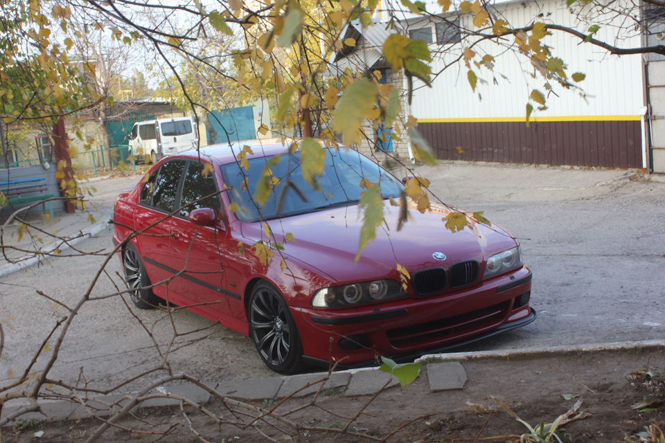 Трохи Осінніх фото 🍁🍀🍂 2