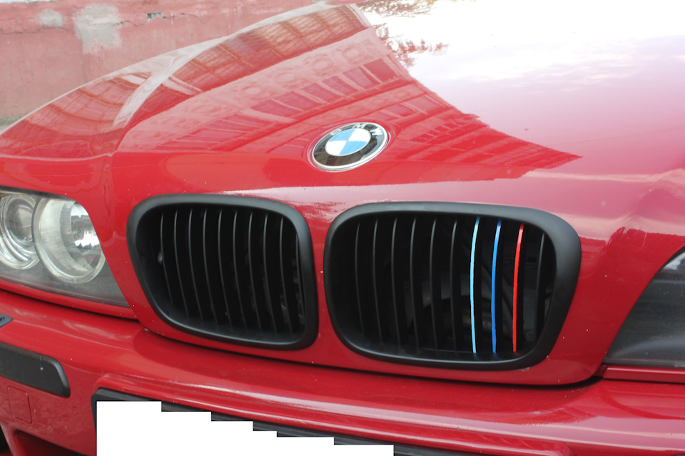 Нові ніздрі + триколор ///m ✅ 3