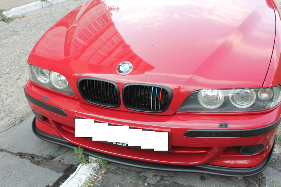 Нові ніздрі + триколор ///m ✅ 2