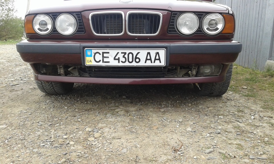 Зустріч із псом(( 3