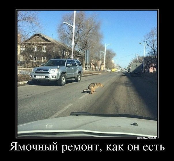 Дорога 1