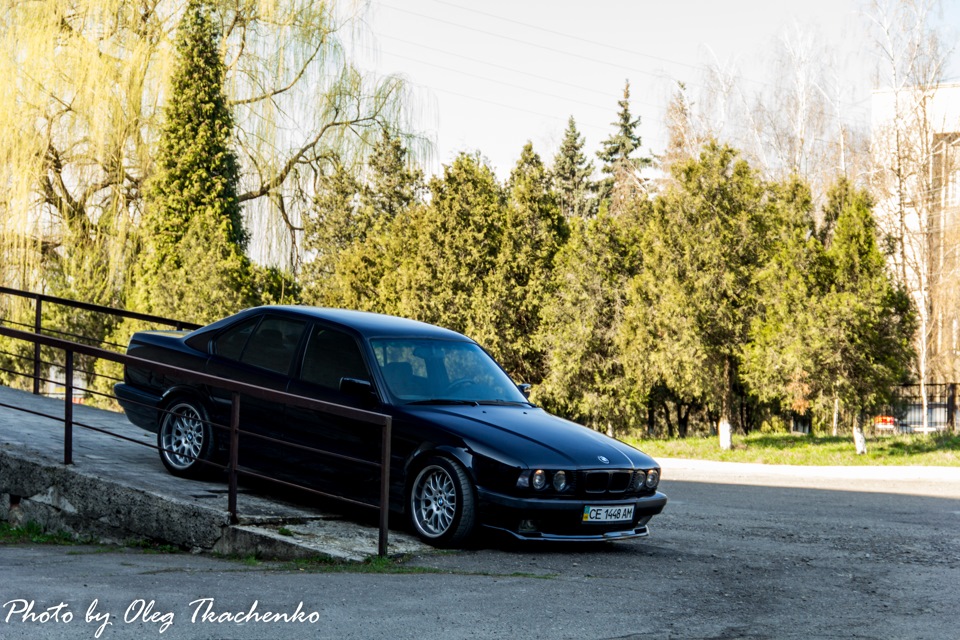 моя ластівка готова :) 3