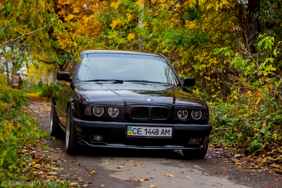 Осінь 2013 2