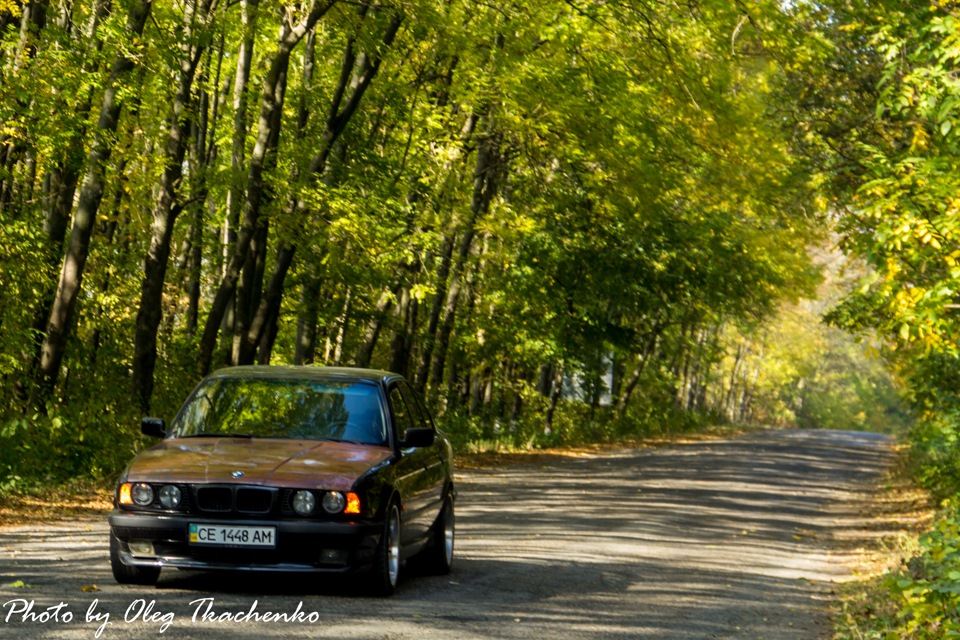 Пару осінніх фото 5