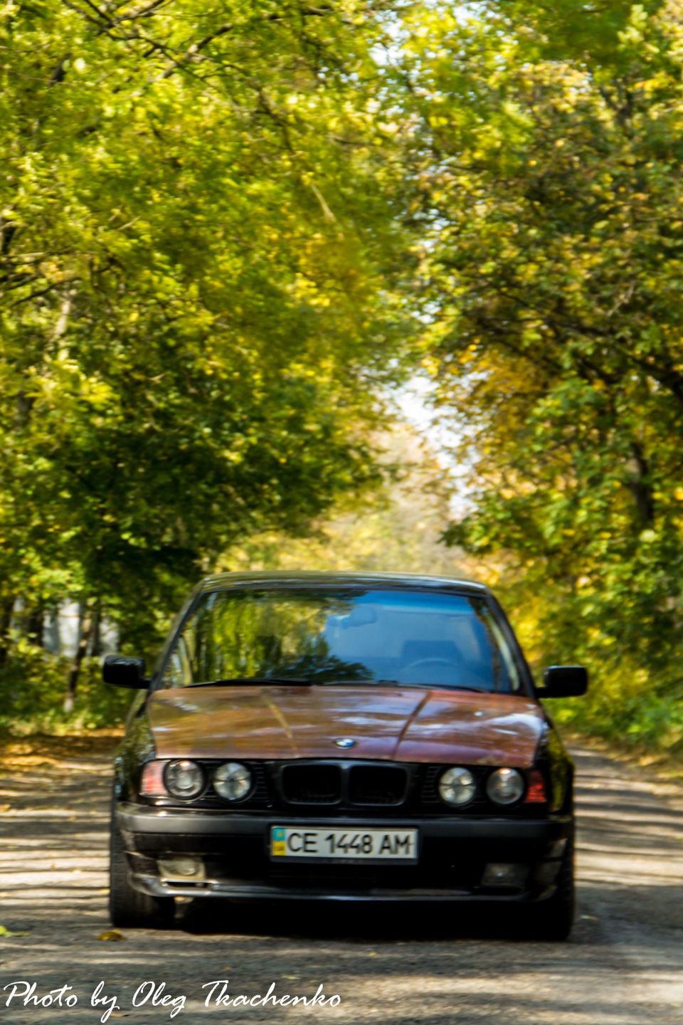 Пару осінніх фото 3