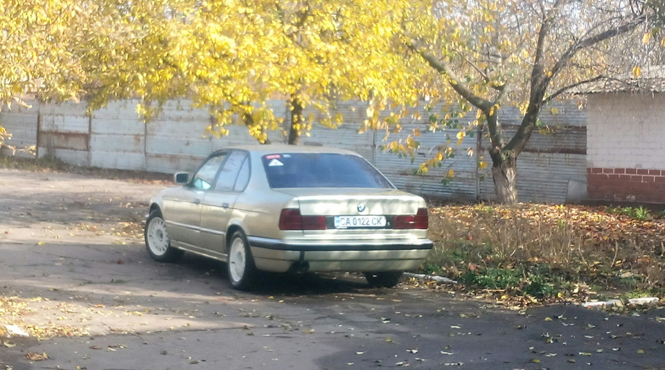 Перевзулися на зиму 4