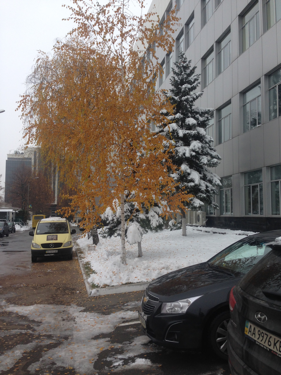 БМВ та сніг 2 :) 4