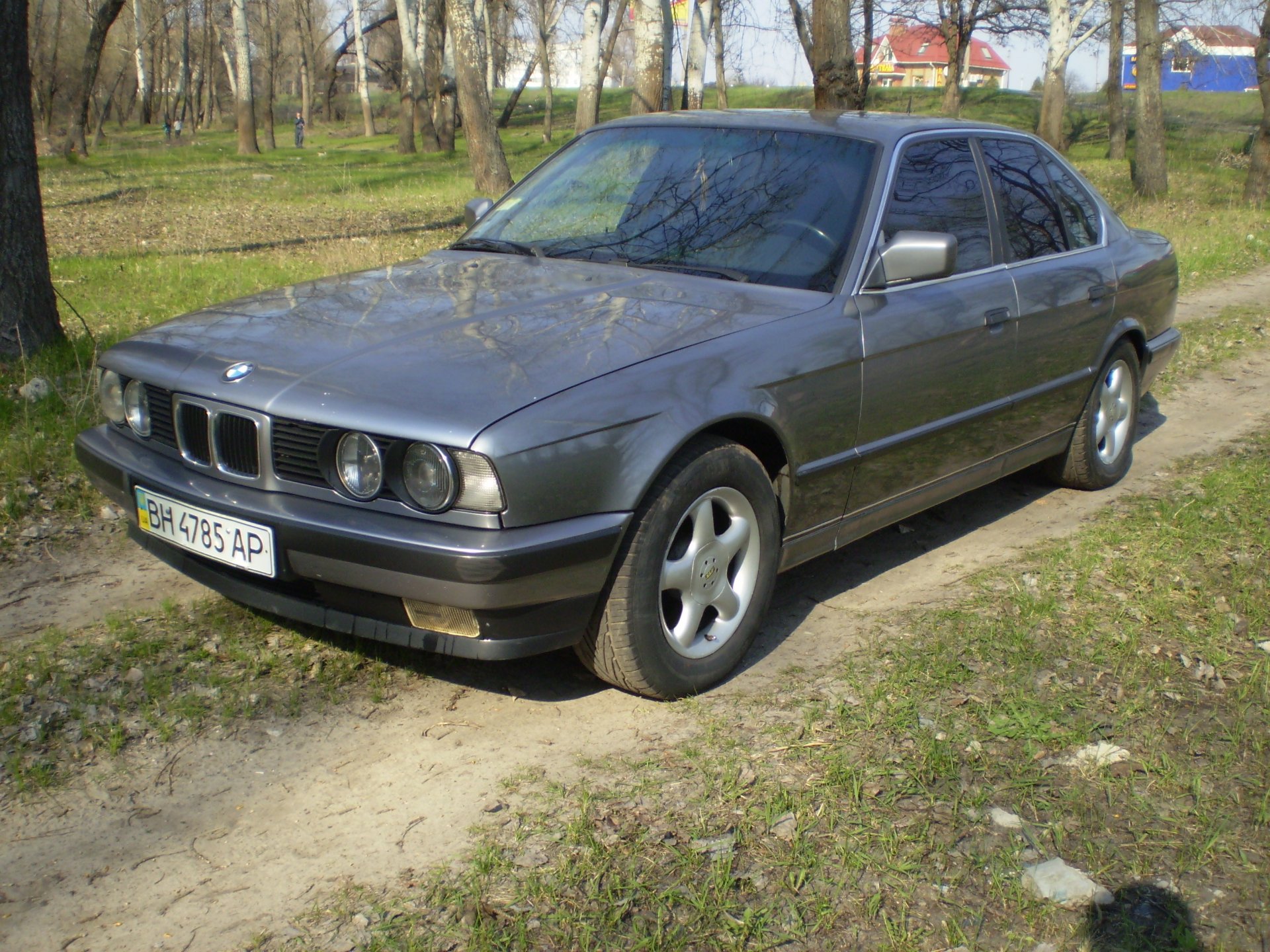 Весна 2011 (фото) 1
