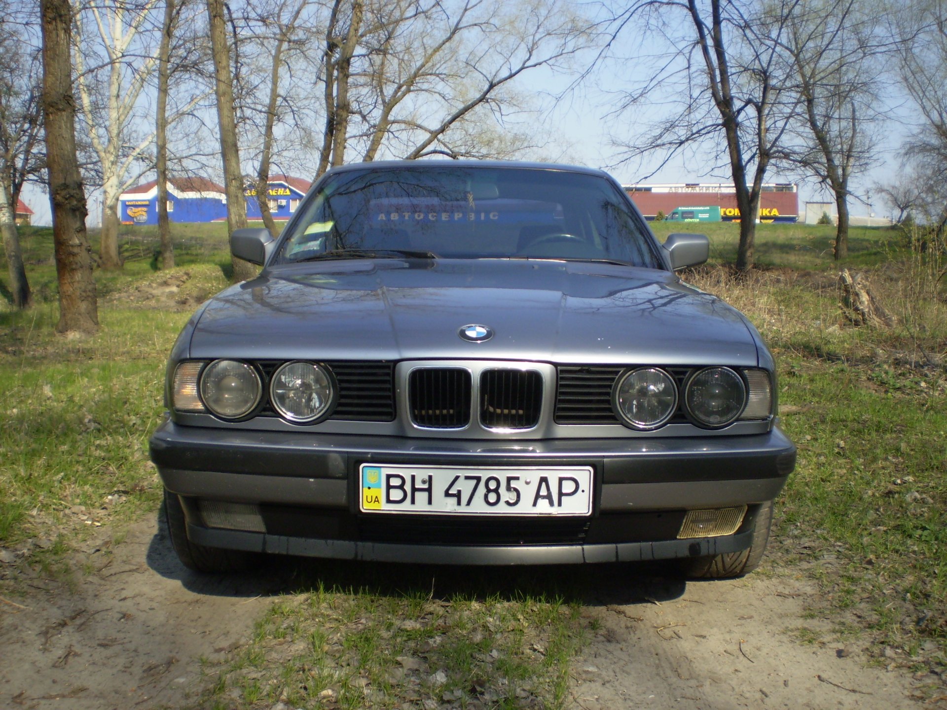 Весна 2011 (фото) 2