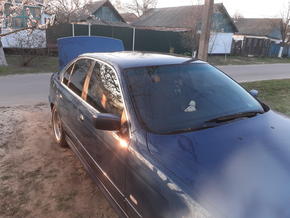 Трохи дешманського полірування) 3