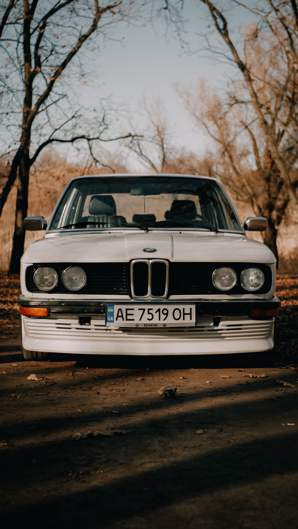 Осіння фотосесія 1