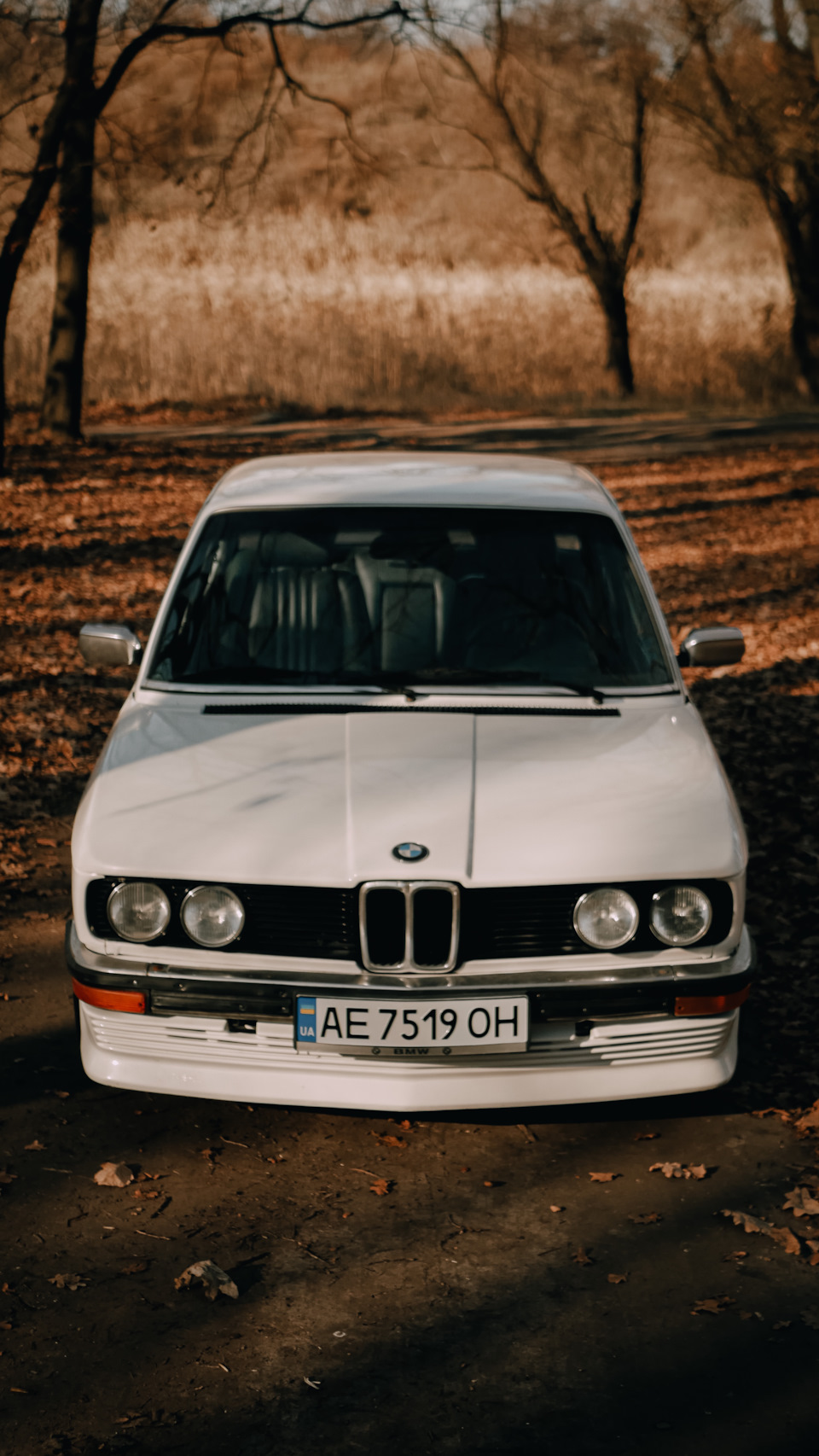 Осіння фотосесія 3