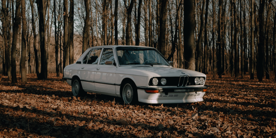 Осіння фотосесія 5
