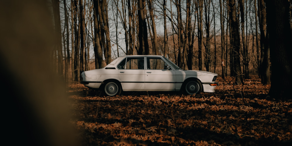 Осіння фотосесія 2