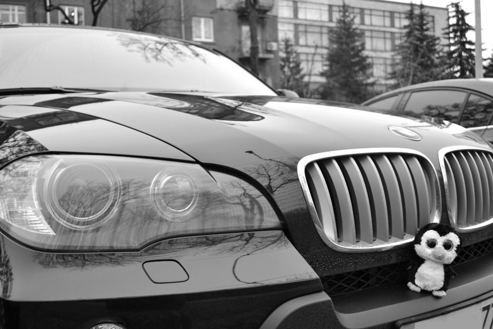 Сумна історія одного хлопця і як він шукав друга 4