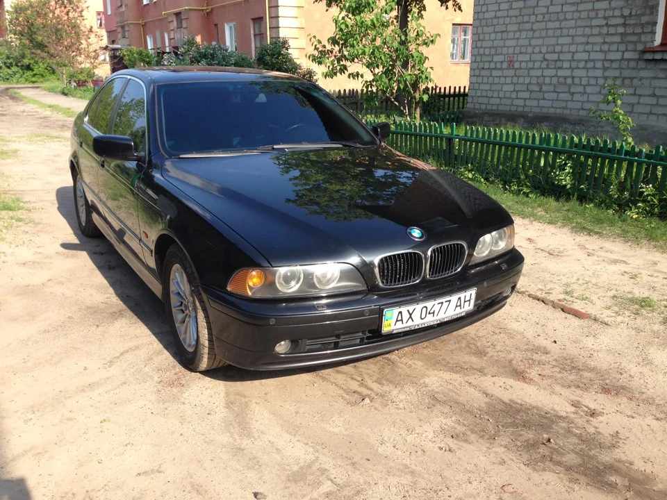Ось так має виглядати чорна Няшка!