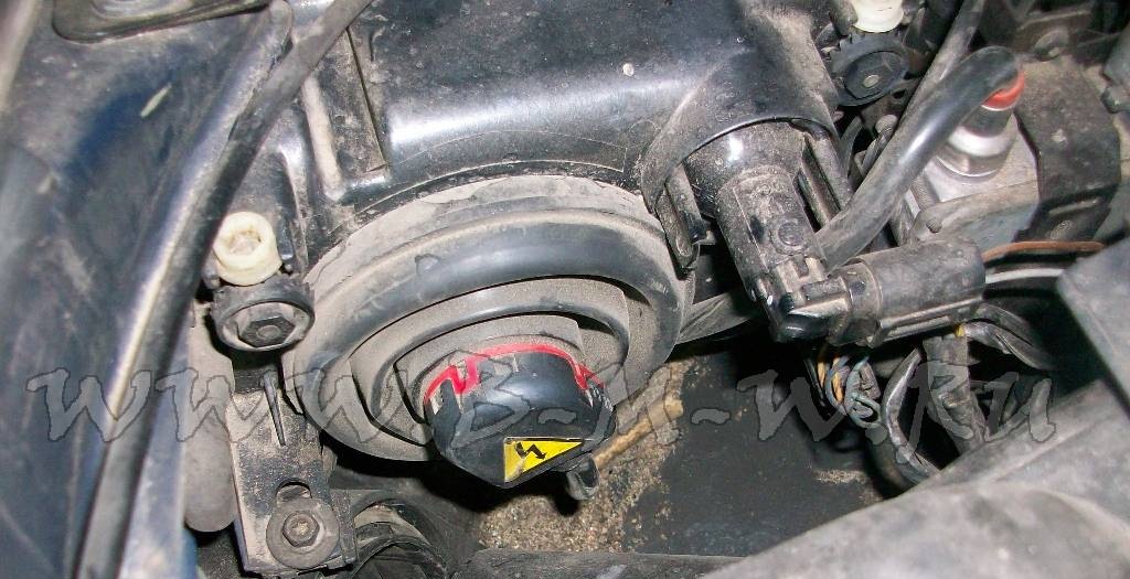 Заміна ламп розжарювання BMW E39, рестайлінг 2