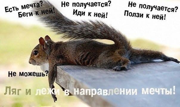 SWAP S85V10 / Stage 8 (Прикладка II) 3