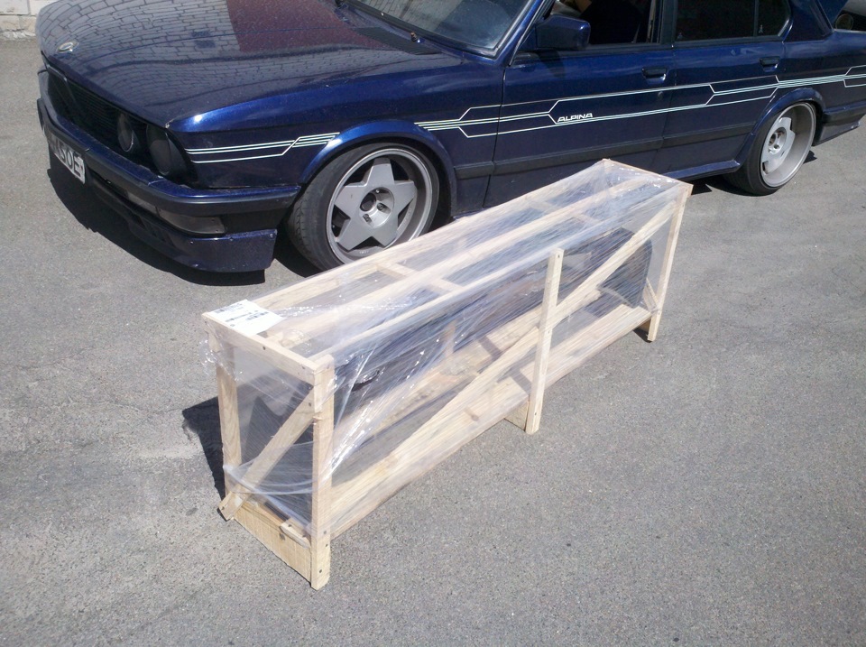 Губа Alpina (репліка) 1