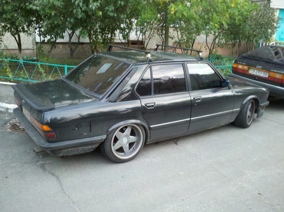 Продаж акули 1