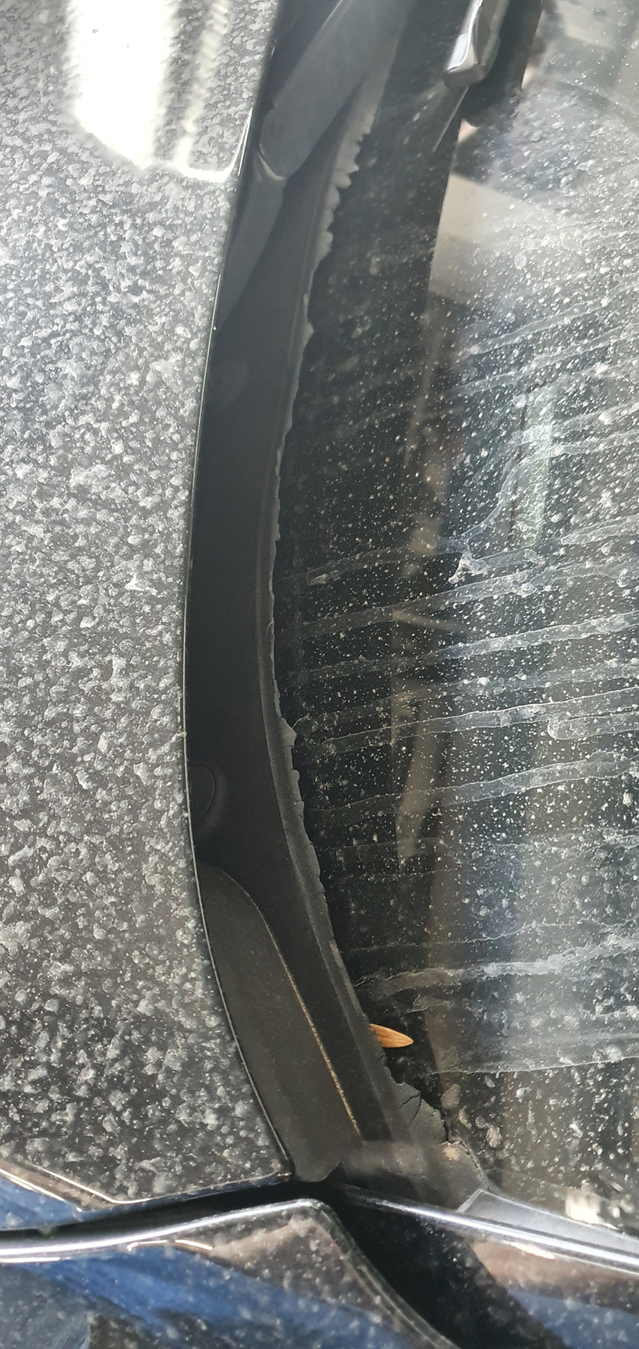 Шлях до досконалості. М5 дзеркала та нове жабо 5