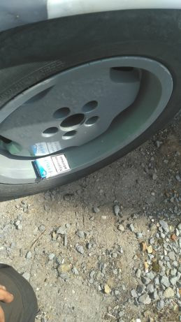 Тапуси ронделусики))) 3