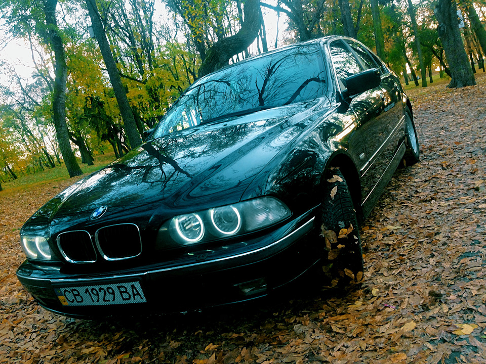 Осень 3