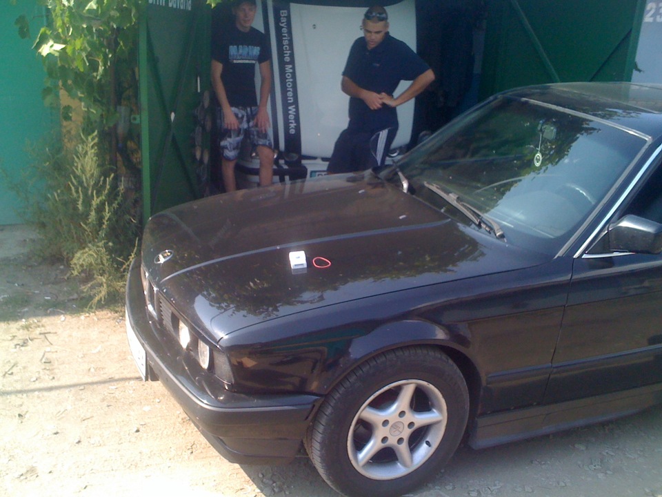 Подарунок ластівці :) Hella Black Angel Eyes 4