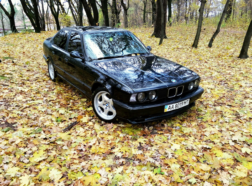 Фотосет - Золота Осінь 2016 3