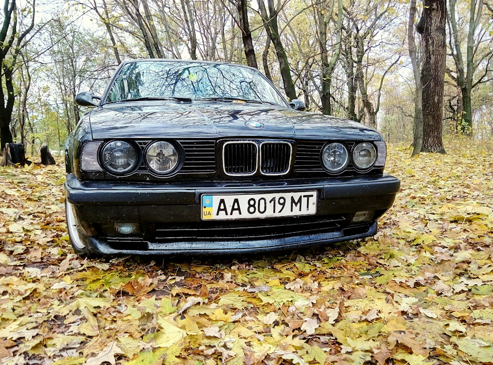Фотосет - Золота Осінь 2016 5