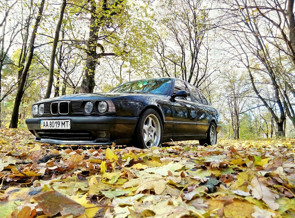 Фотосет - Золота Осінь 2016 1