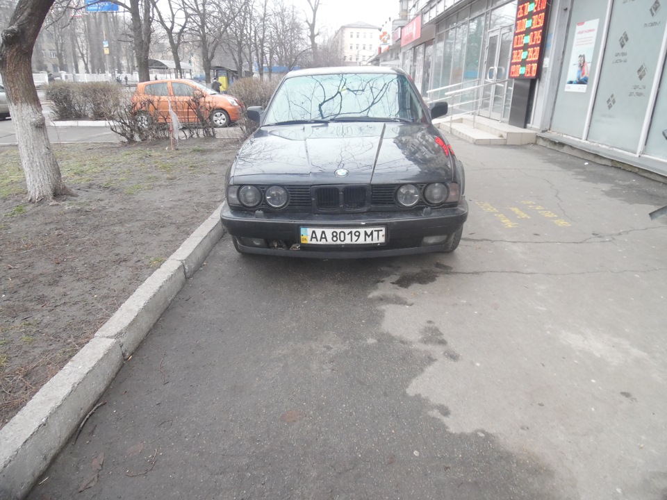 ///M — губень 1