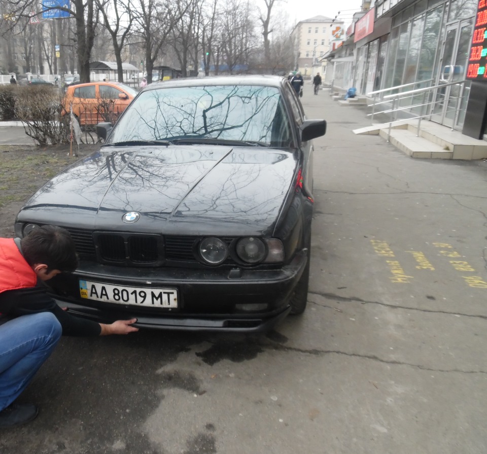 ///M — губень 3