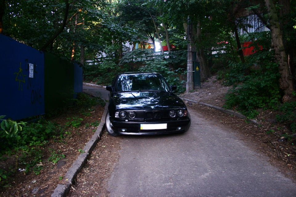 Паркова фотосесія 1