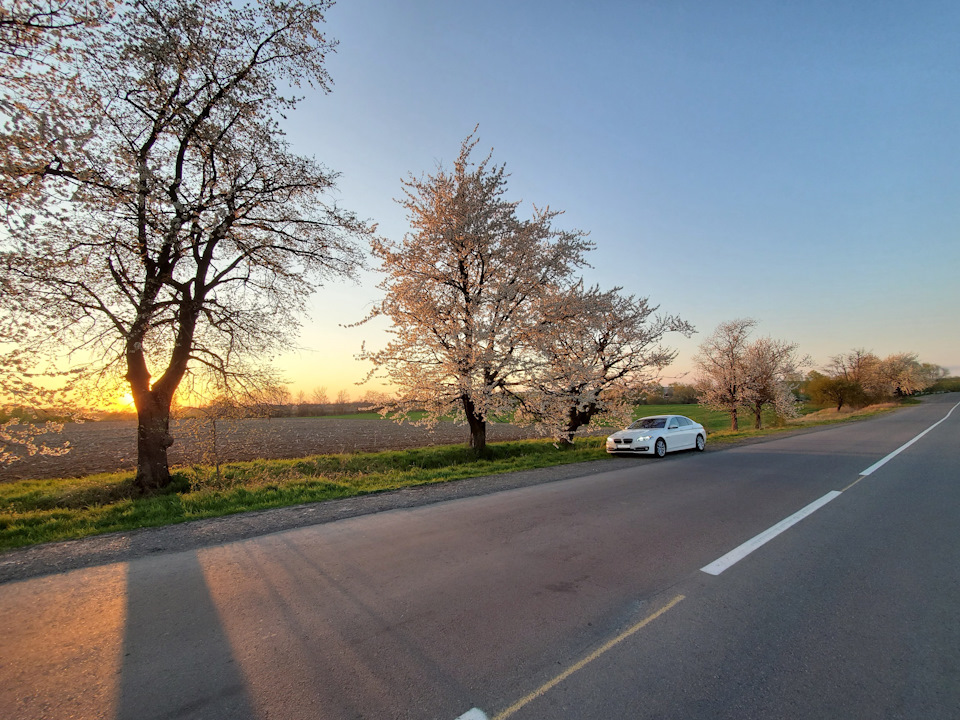 Вечірні фотографії 4