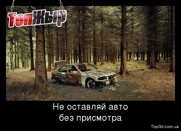 BMWzone перед відпусткою* 1