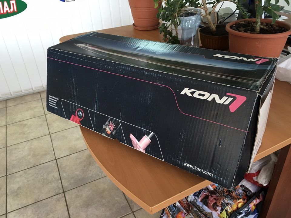 Ніштяки: Koni Sport 2