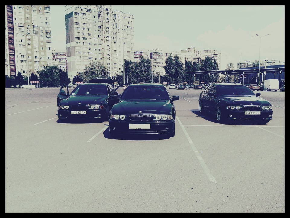 Мрачнячковий фотосетик 1