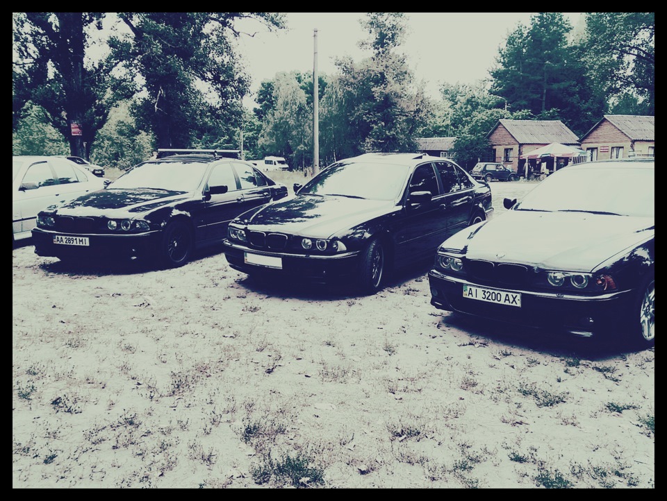 Мрачнячковий фотосетик 4