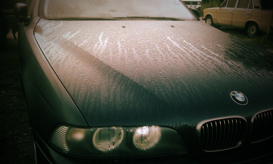 Просто кілька фоток 3