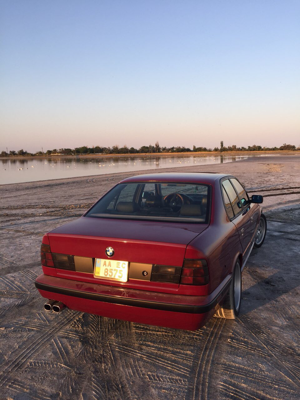 Гості 5