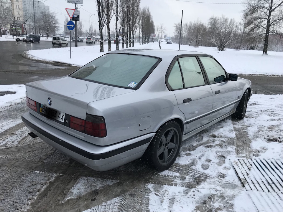 Люблю я свою бібіку 1