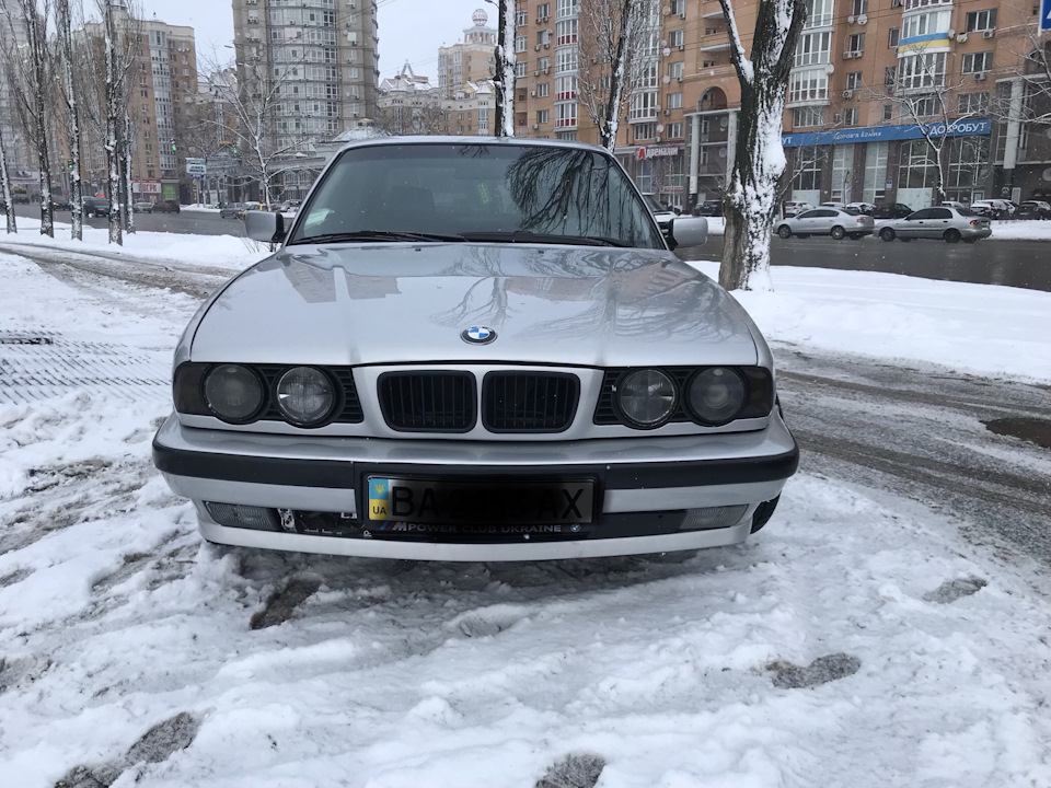 Люблю я свою бібіку 2