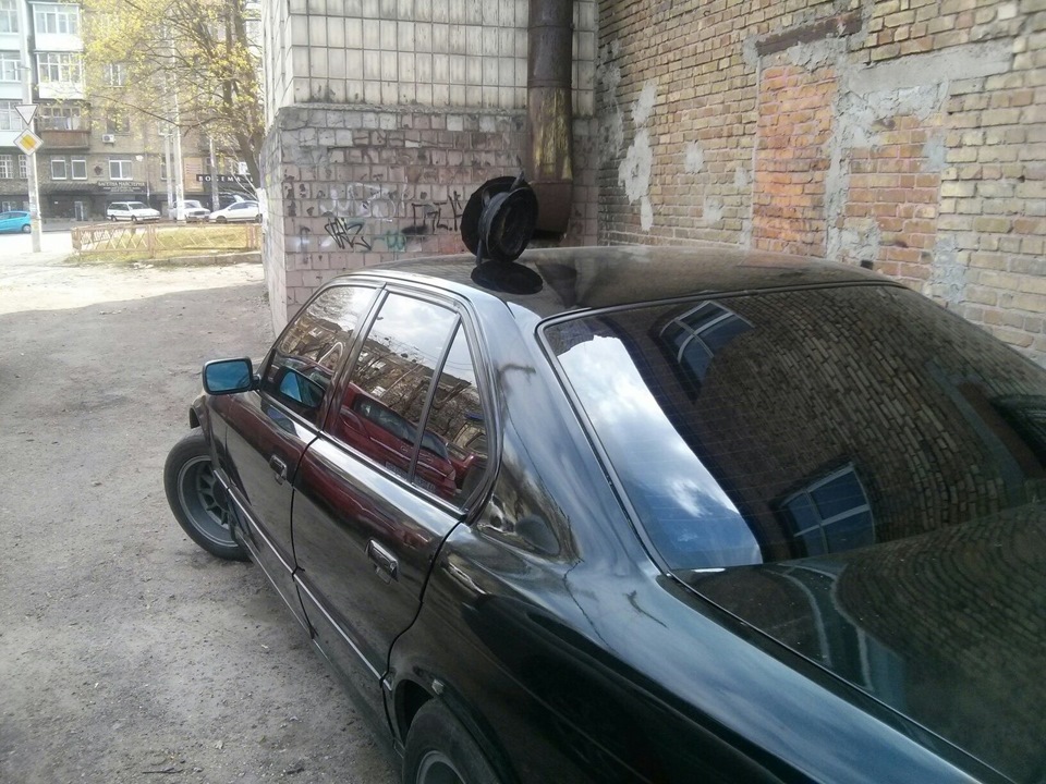 Подарунки природи падають на дах((((( 2
